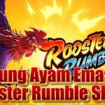 Sabung Ayam Emas: Rooster Rumble Slot